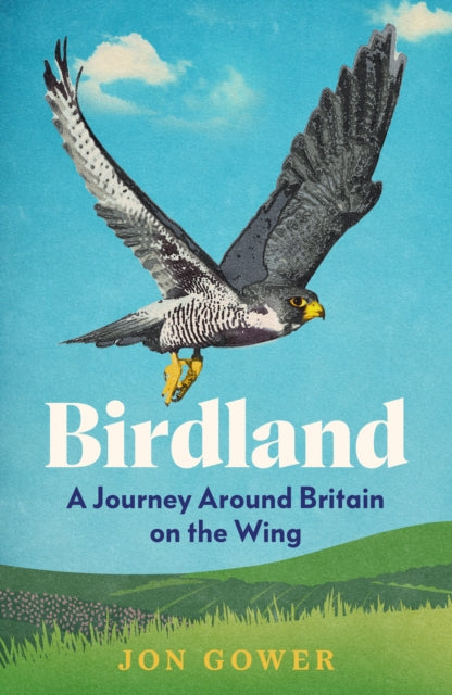 Birdland by Jon Gower - Hand Delivered